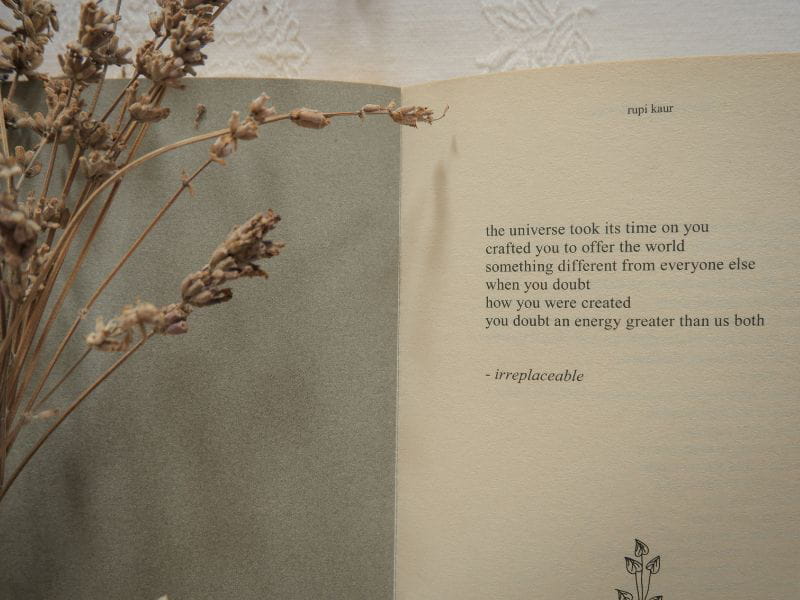 Quote from a book supporting the idea that everyone has a unique purpose in this world, and it is worth letting that purpose shine.