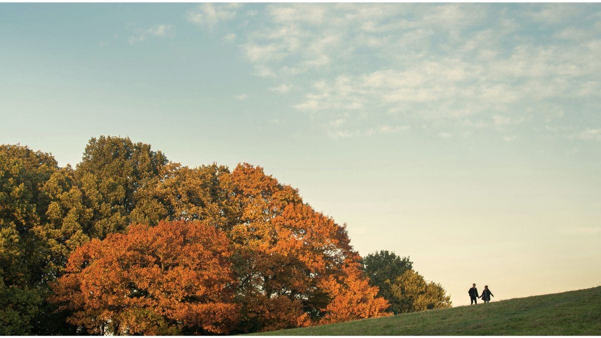 Holding hands and healing in nature.