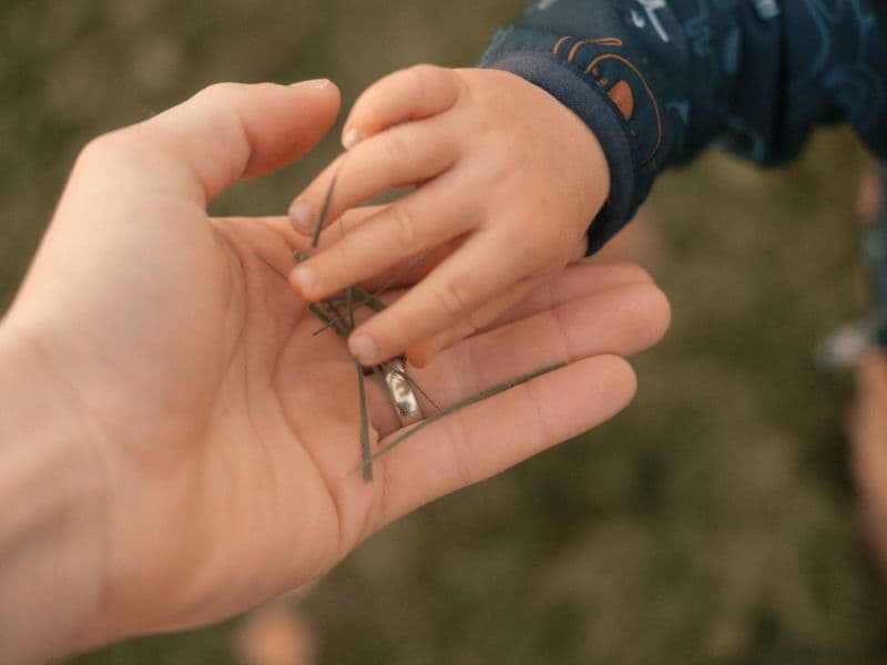 Child's hand placing grass into an adults open hand, symbolizing inner childhood healing and reconnection.