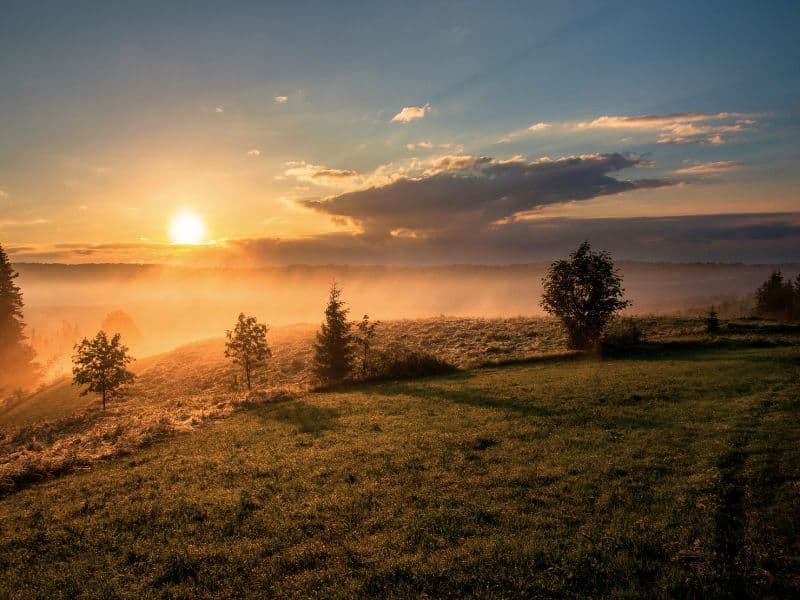 Early morning sun rays clearing a foggy field, representing the idea that although abuse can seem unclear, it is possible to gain clarity over time.