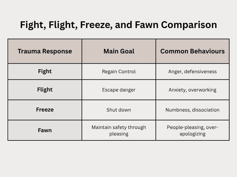 A table comparing the four trauma responses: fight, flight, freeze, and fawn.