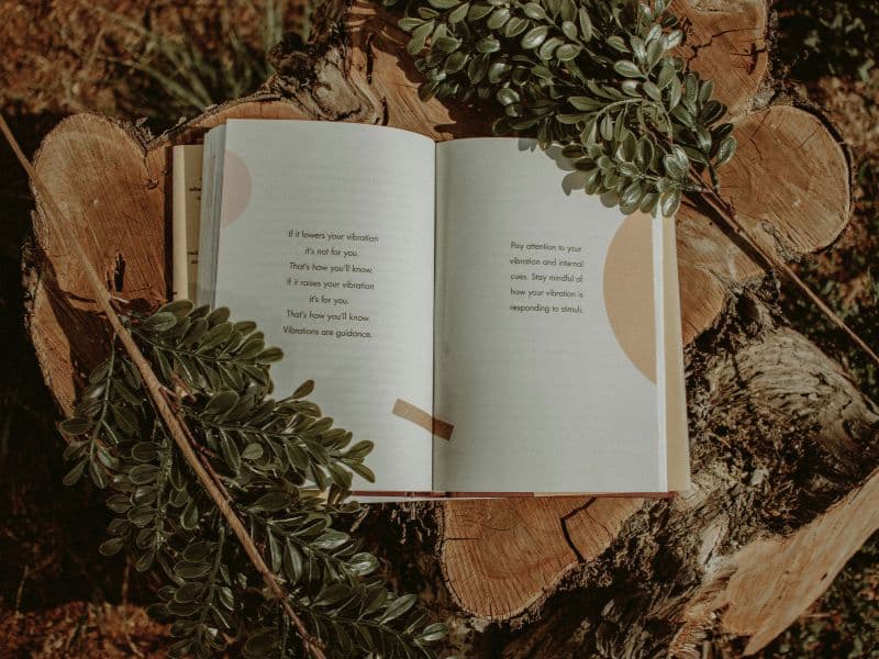 Open book discussing high and low emotional states, representing the journey of understanding survival mode and healing.